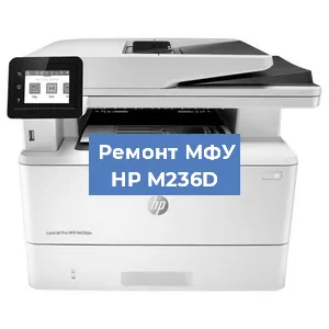 Замена головки на МФУ HP M236D в Ижевске